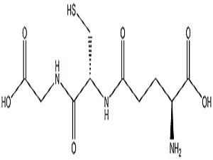 glutatiol Molecular formula.jpg