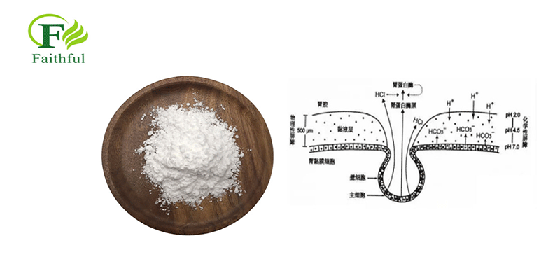 Pepsin-powder Pepsin-powder